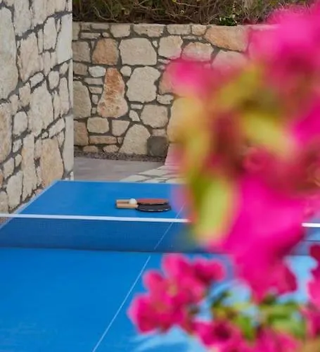 Infinity Blue Vilă Nikiti (Sithonia)